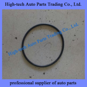 0079975948 Beiben truck spare parts O sealing ring 007 997 59 48