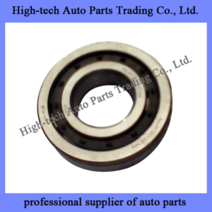 12JS160T Fast Gearbox 192309E SHORT COLUMN ROLLER BEARING