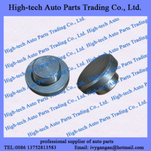 SHAANXI SHACMAN truck F2000 F3000 X3000 M3000 L3000 spare parts 81.36304.0002 slide the top pin CAMION SHACMAN DELONG 81363040002