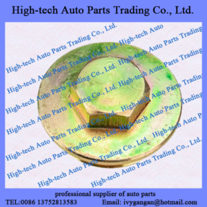SHAANXI SHACMAN truck F2000 F3000 X3000 M3000 L3000 spare parts 81.90310.0198 thread plugging CAMION SHACMAN DELONG 81903100198 HANDE axle sealing plug