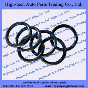 SHAANXI SHACMAN truck F2000 F3000 X3000 M3000S spare parts F34B253550 O  ring CAMION SHACMAN DELONG