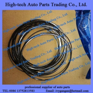 Weichai 6M26 12M26 6M33 12M33 engine piston ring W15020470Y SEGMENTS MOTEUR