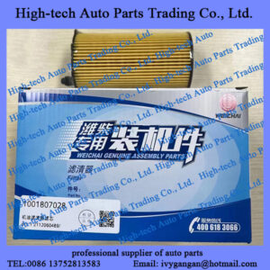 Weichai RA428 RA428Q163E61 engine parts oil filter 1001807028 FILTRE A HUILE