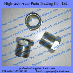 Weichai WD10 WD12 WD615 WD618 WP10 WP12 engine nut for turbo oil intake pipe 90003559563 for Beiben truck, Hongyan, Genlyon, Shacman, JAC, Foton, Auman truck, Yutong bus