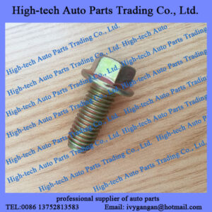 Weichai WD10 WP10 WD12 WP12 WD615 engine parts bolt screw 90011430008 VIS for XCMG wheel loader