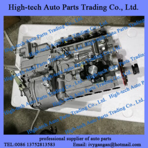 Weichai WD12 engine injection pump 612600081236 POMPE INJECTION BEIBEN truck