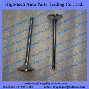 Weichai WP3.2 engine parts exhaust valve 1000427681 SOUPAPE D’ECHAPPEMENT MOTEUR for generator, GROUPE ELECTROGNE, Liugong, XCMG, Lonking, Shantui, XGMA, SDLG wheel loader, bulldozer