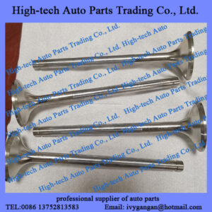 Weichai Baudouin Moteurs 8M26 12M26 6M26 12M26 6M33 8M33 12M33 marine engine spare parts exhaust valve 14011470J SOUPAPE D’ECHAPPEMENT WEICHAI MOTEUR for boat, ship, vessel, yacht