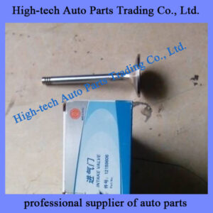 Weichai Deutz engine TD226B intake valve 12159606 SOUPAPE D’ADMISSION MOTEUR for BEIBEN truck, SHACMAN, SINOTRUK HOWO truck, Yutong, King Long bus, XCMG, LIUGONG wheel loader