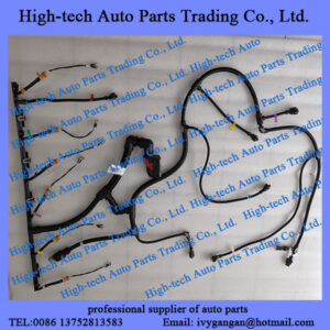 Weichai WP10 engine parts engine cable harness 1000095825 for Beiben truck, Genlyon, Shacman, JAC, Foton, Auman, CAMC, FAW, Sinotruk, HOWO truck