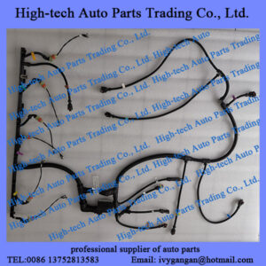 Weichai WP10 engine parts engine cable harness 1000167995 for Beiben truck, Genlyon, Shacman, JAC, Foton, Auman, CAMC, FAW, Sinotruk, HOWO truck, wheel loader Liugong, XCMG, Lonking, Shantui, XGMA