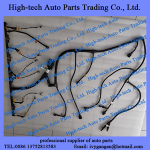 Weichai WP10 engine parts engine cable harness 1000415464 for Beiben truck, Genlyon, Shacman, JAC, Foton, Auman, CAMC, FAW, Sinotruk, HOWO truck