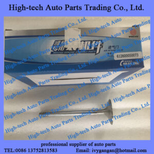 Weichai WP10 engine parts intake valve 612600050073 SOUPAPE D’ADMISSION for Beiben truck, Genlyon, JAC, Foton, CAMC, FAW truck camion, Liugong, XCMG, Lonking, Shantui wheel loader, bulldozer