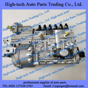 Weichai WP10 engine spare parts injection pump 612601080457 POMPE A INJECTION MOTEUR for BEIBEN truck