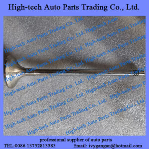 Weichai WP12C marine engine parts exhaust valve 612630050002 SOUPAPE D’ECHAPPEMENT MOTEUR for boat, ship, vessel, yacht