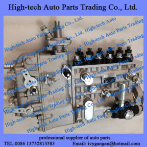 Weichai WP12C marine engine parts injection pump 612630030261 POMPE INJECTION MOTEUR for boat, ship, vessel, yacht, generator