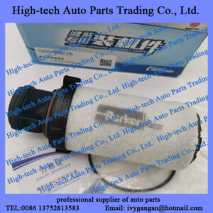 Weichai WP13 WP10H WP7 CNG engine parts CNG gas filter element 1000089226 for Beiben truck, Genlyon, Shacman, JAC, Foton, Auman, CAMC, FAW, Sinotruk, HOWO truck, Yutong bus, King Long bus