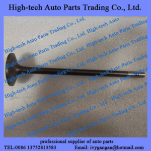 Weichai WP13H engine spare parts intake valve 1002044329 SOUPAPE D’ADMISSION MOTEUR for BEIBEN truck, FOTON truck, SHACMAN truck, SINOTRUK HOWO truck, LIUGONG XCMG wheel loader, SHANTUI bulldozer