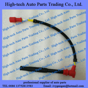 Weichai WP7 CNG engine high pressure wire line 610800190656 for Beiben truck, Genlyon, Shacman, JAC, Foton, Auman, CAMC, FAW, Yutong bus, King Long bus, Golden Dragon bus, Bonluck bus, Foton