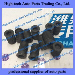 Weichai engine cylinder screw plug 612600012189 for BEIBEN truck, FOTON truck, SHACMAN truck, SINOTRUK HOWO truck, Yutong bus, King Long bus LIUGONG XCMG wheel loader