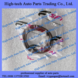 Hongyan Genlyon truck SFH C9 engine FAT172897810 heat exchanger O ring 172897810 JOINT MOTEUR CURSOR 9