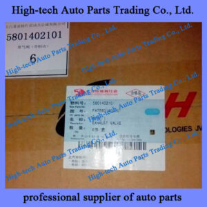 Hongyan Saic Iveco Genlyon truck F2CE0681B.B052GT exhaust valve FAT5801402101 SOUPAPE D’ECHAPPEMENT 5801402101