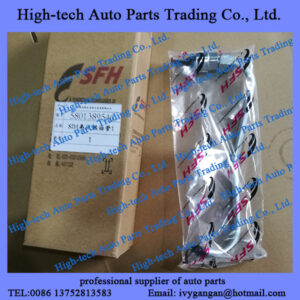 Saic Hongyan Iveco Genlyon truck engine injection pump line pipe FAT5041269810 FAT5801389546 FAISCEAU GASOIL 5041269810 5801389546