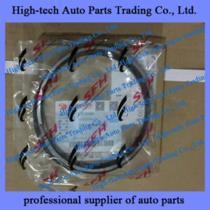 Saic-Iveco Hongyan Genlyon truck SFH C9 engine FAT5037751040 piston ring 5037751040 SEGMENT MOTEUR CURSOR 9