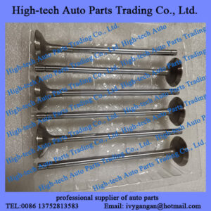 Saic Iveco Hongyan Genlyon truck spare parts Cursor 9 SFH C9 engine parts exhaust valve 5802450442 SOUPAPE D’ECHAPPEMENT FAT5802450442