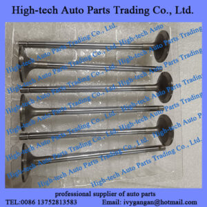 Saic Iveco Hongyan Genlyon truck spare parts FPT Cursor 9 SFH C9 engine parts 5802450441 intake valve 5801402100 SOUPAPE D’ADMISSION FAT5802450441 FAT5801402100