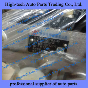 Weichai engine injection pump 612601080249 POMPE D’INJECTION for BEIBEN truck, JAC, FOTON, SHACMAN, SINOTRUK HOWO truck, Yutong bus, King Long bus LIUGONG XCMG wheel loader