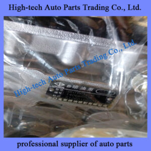 weichai engine injection pump 612601080215 POMPE D’INJECTION for BEIBEN truck, JAC, FOTON, SHACMAN, SINOTRUK HOWO truck, Yutong bus, King Long bus LIUGONG XCMG wheel loader